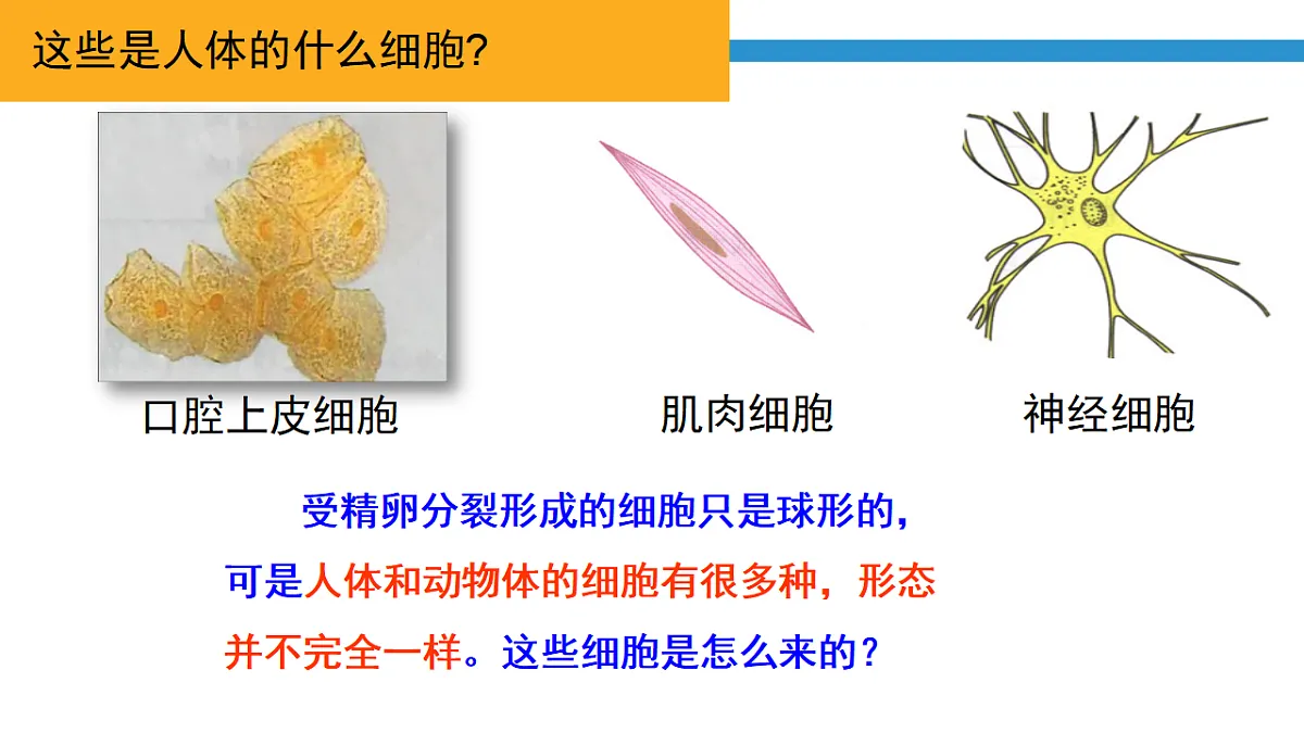 17571281第5页