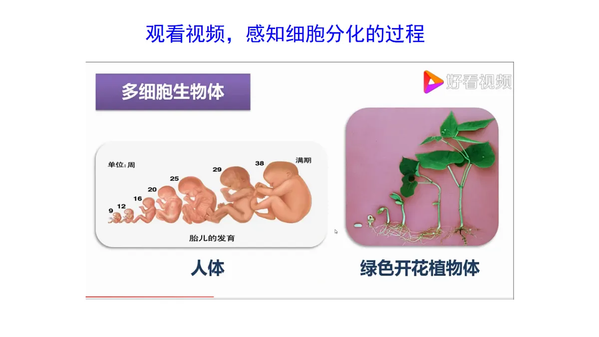 17571281第6页