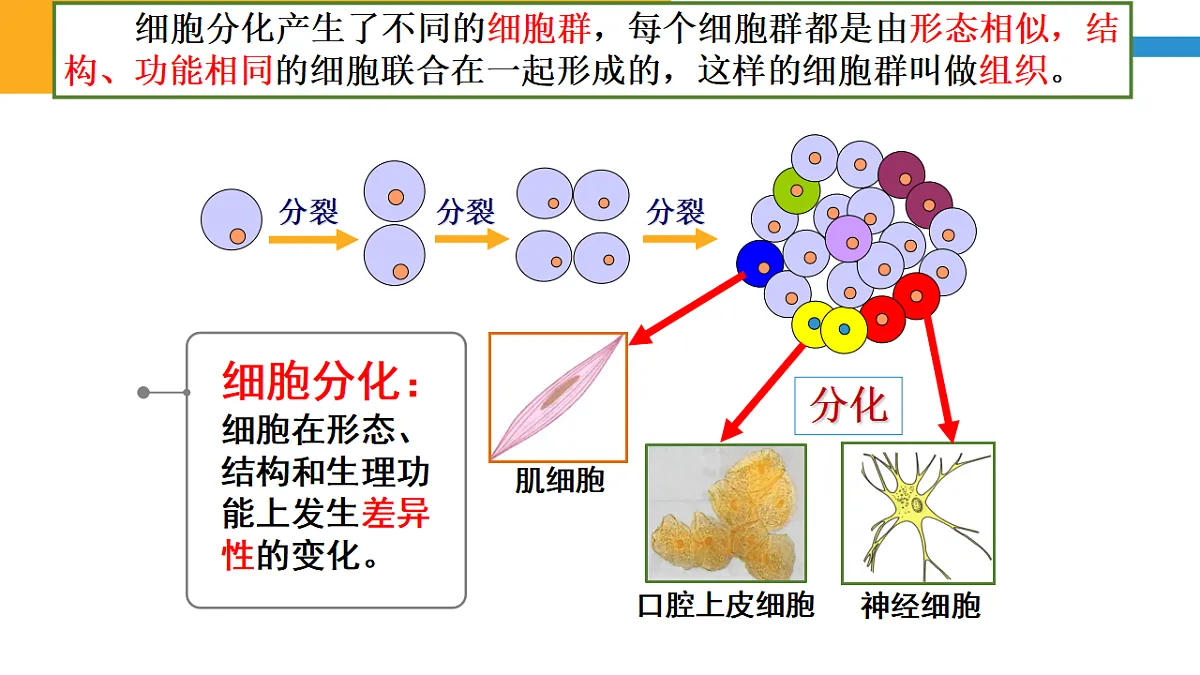 17571281第7页