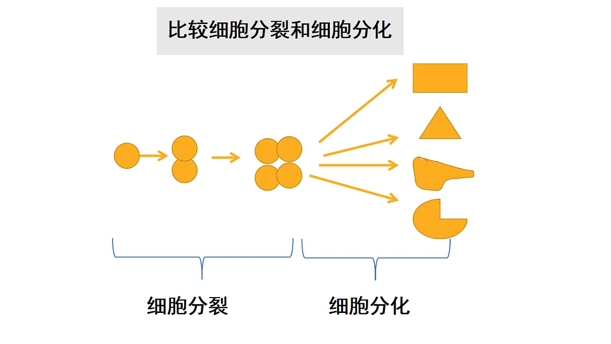 17571281第8页