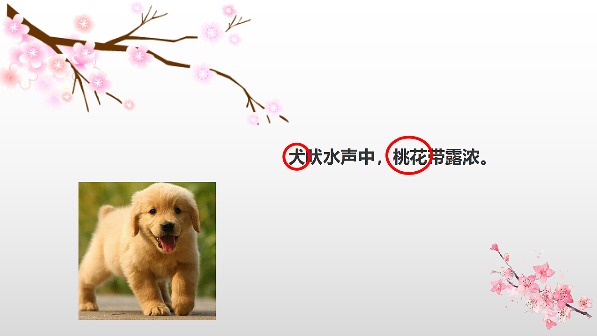17571283第1页