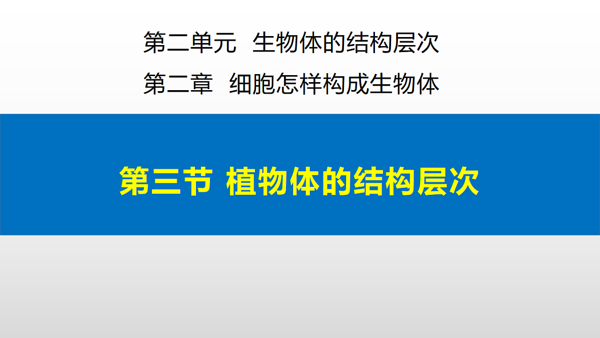 17571283第3页