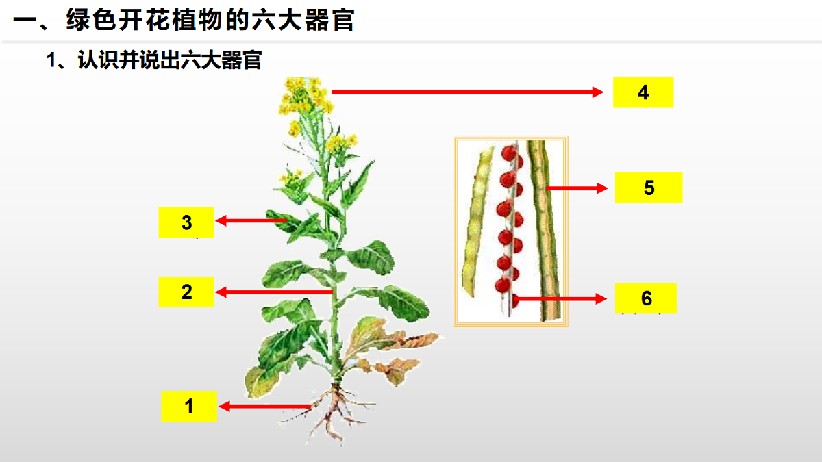 17571283第4页