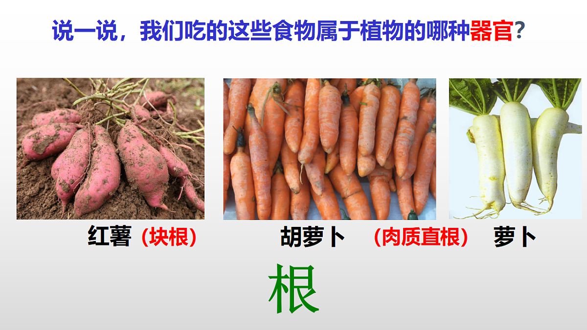17571283第5页