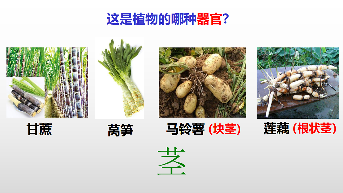 17571283第6页