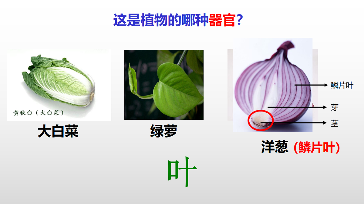 17571283第7页
