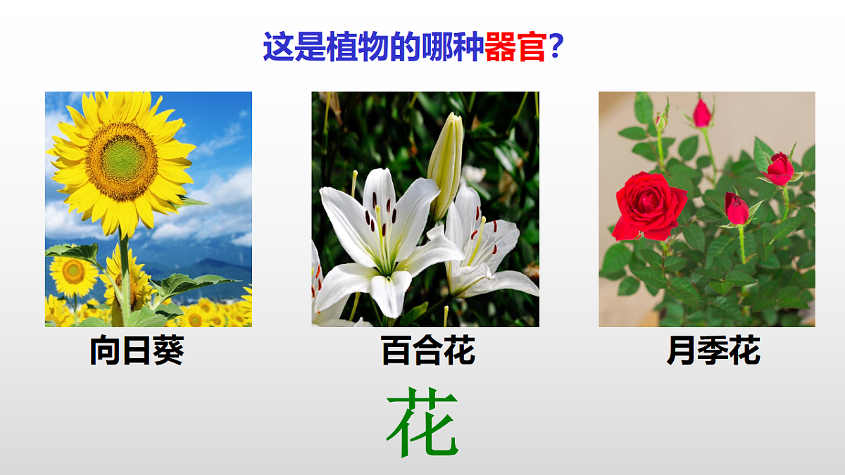 17571283第8页