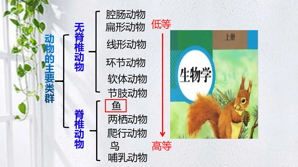 17571288第4页