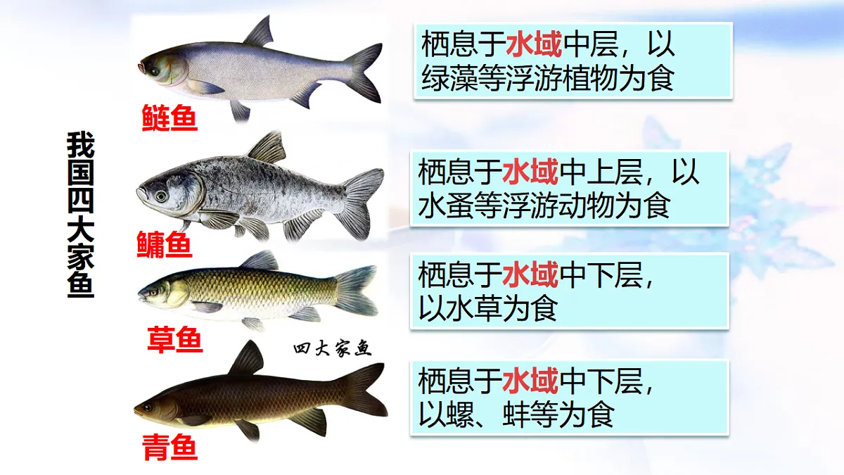 17571288第5页