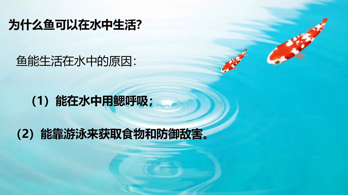 17571288第6页
