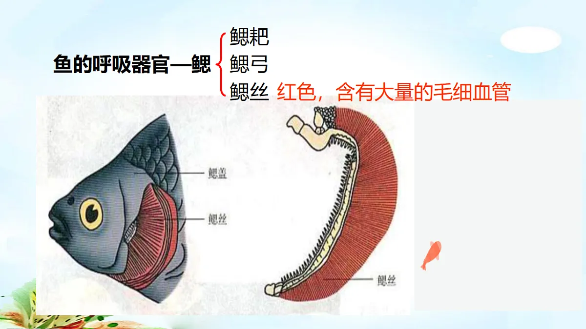 17571288第7页