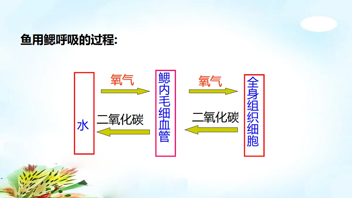 17571288第8页