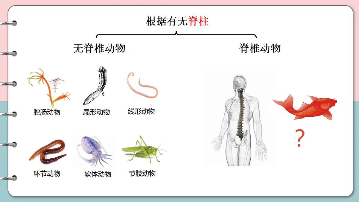 17571289第4页
