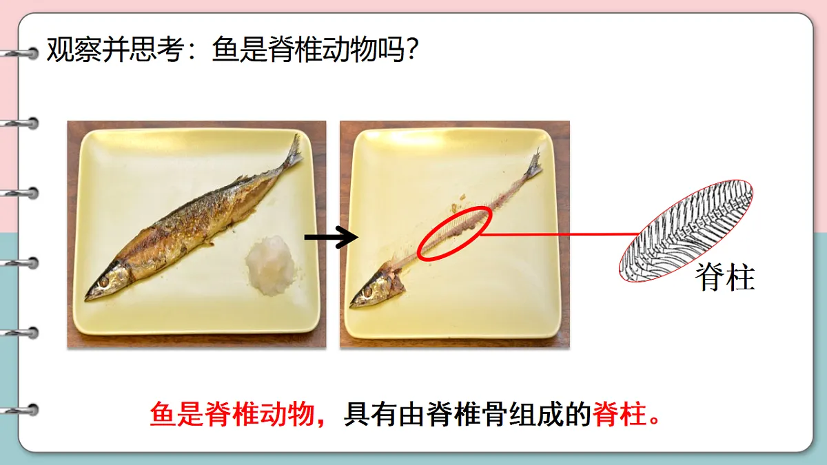 17571289第5页