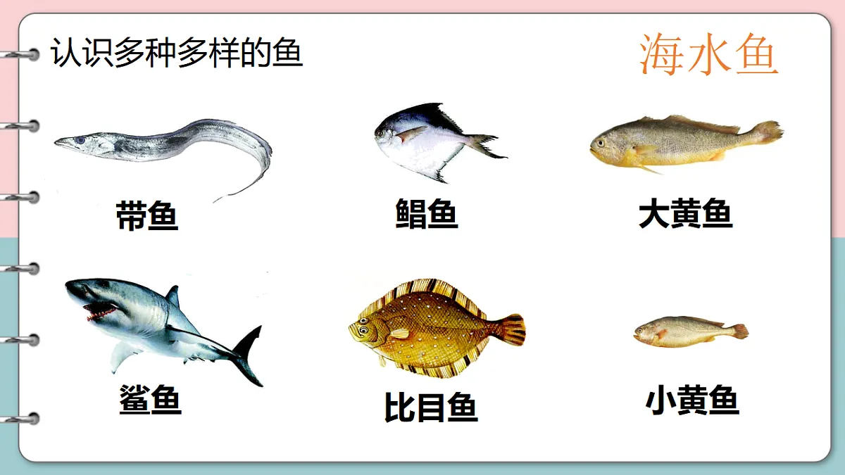 17571289第6页