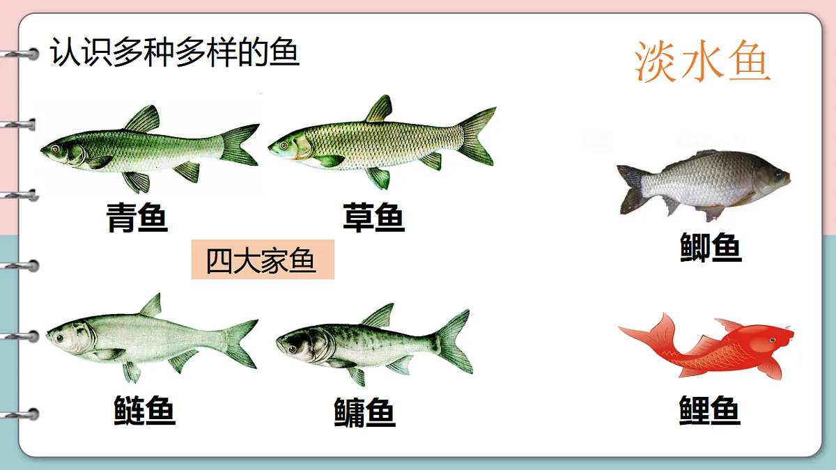 17571289第7页