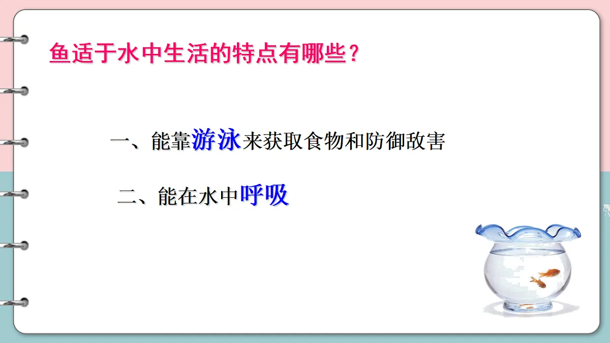 17571289第8页