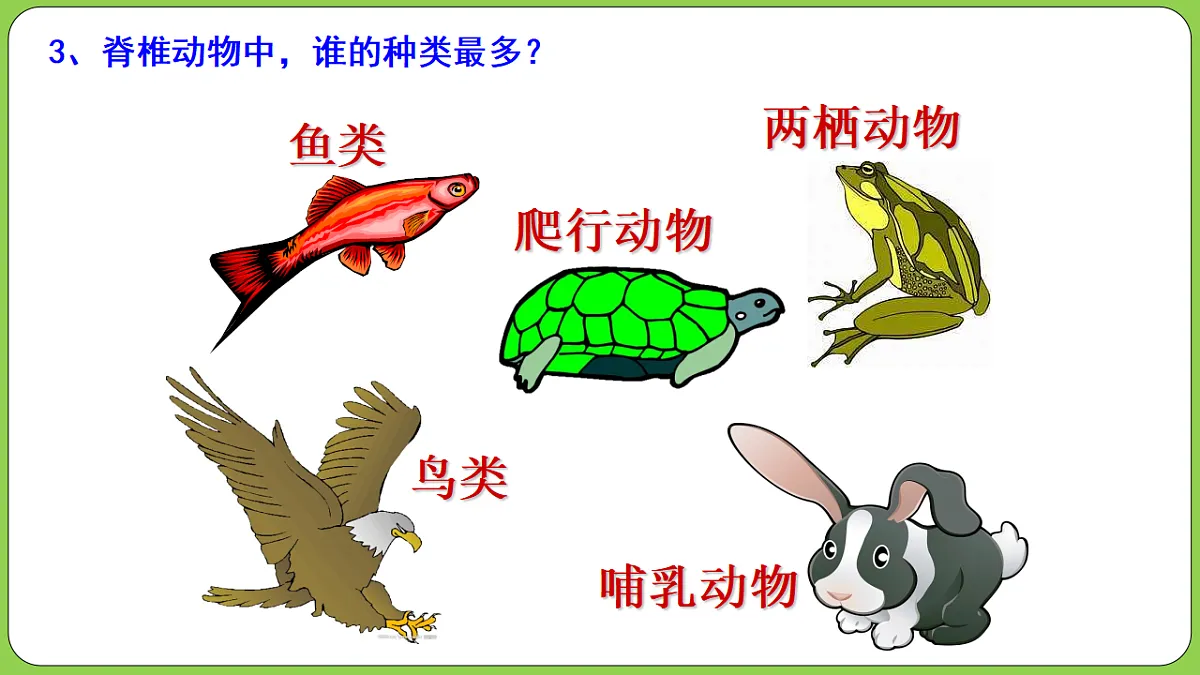 17571290第5页