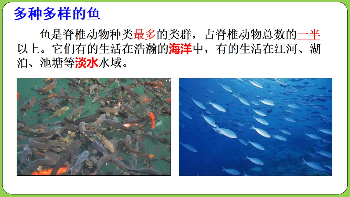 17571290第6页