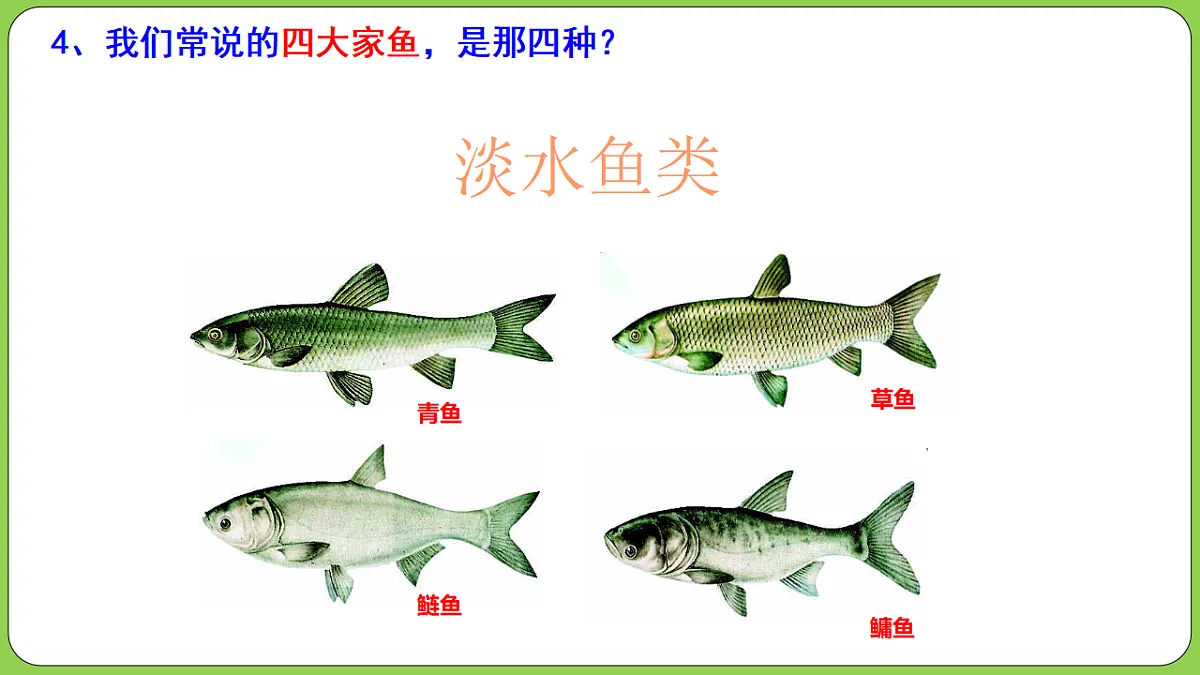 17571290第7页