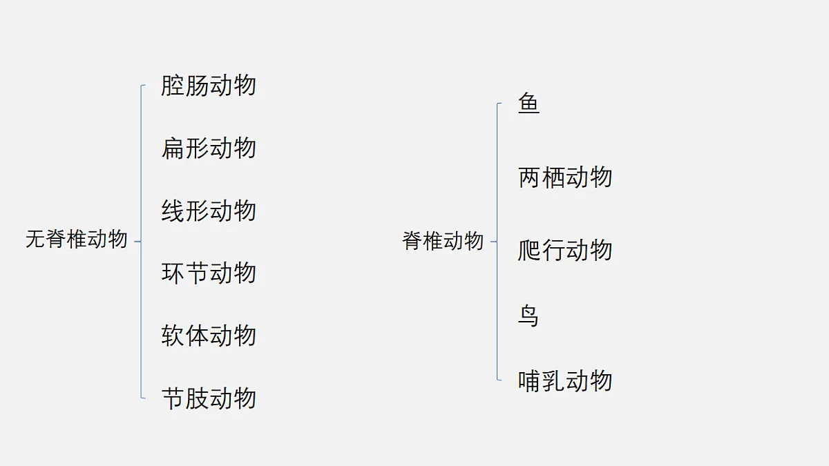17571291第5页