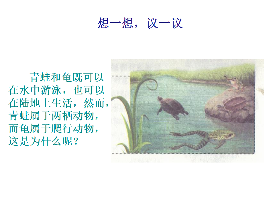 17571292第2页