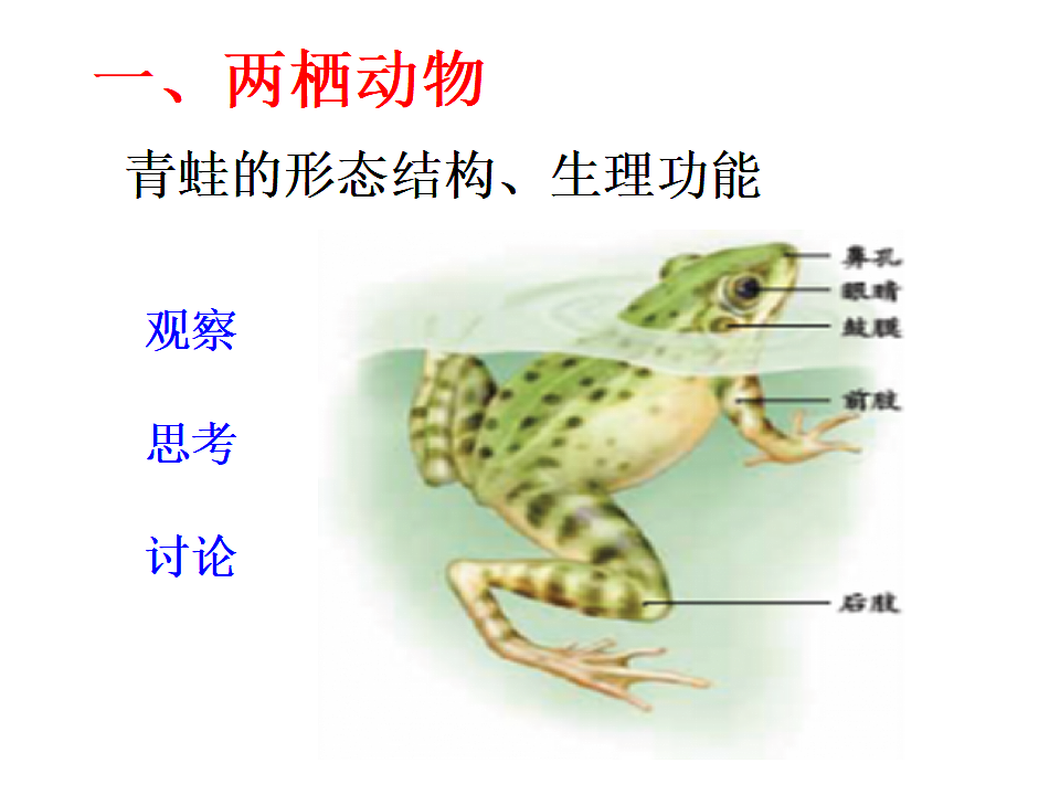 17571292第3页