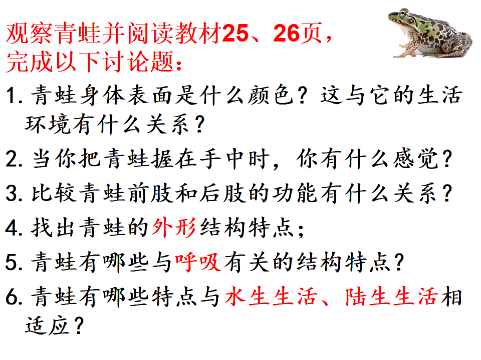 17571292第4页