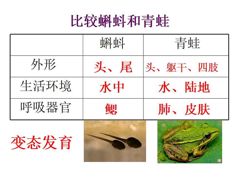 17571292第8页