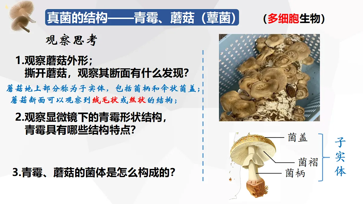 17571296第6页