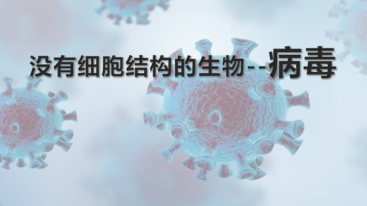 17571297第1页