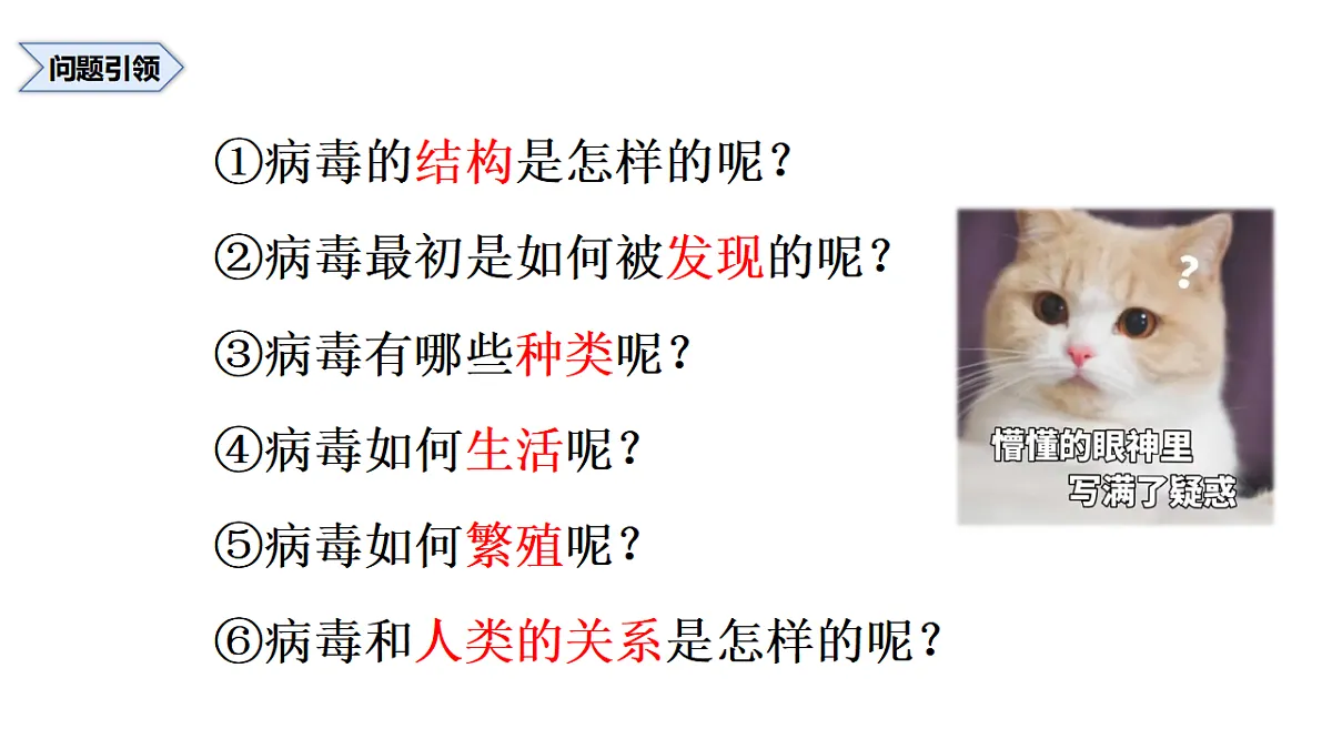 17571297第2页