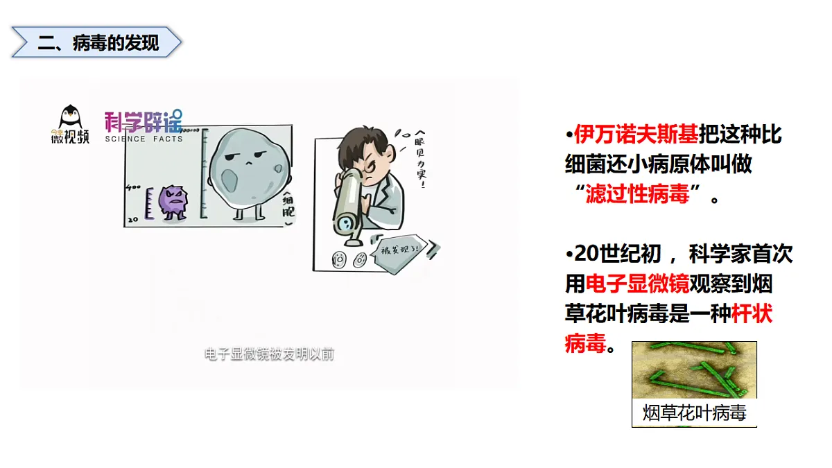 17571297第4页