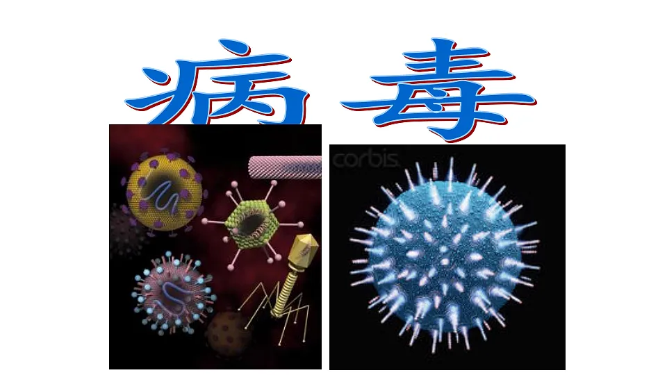 17571298第1页