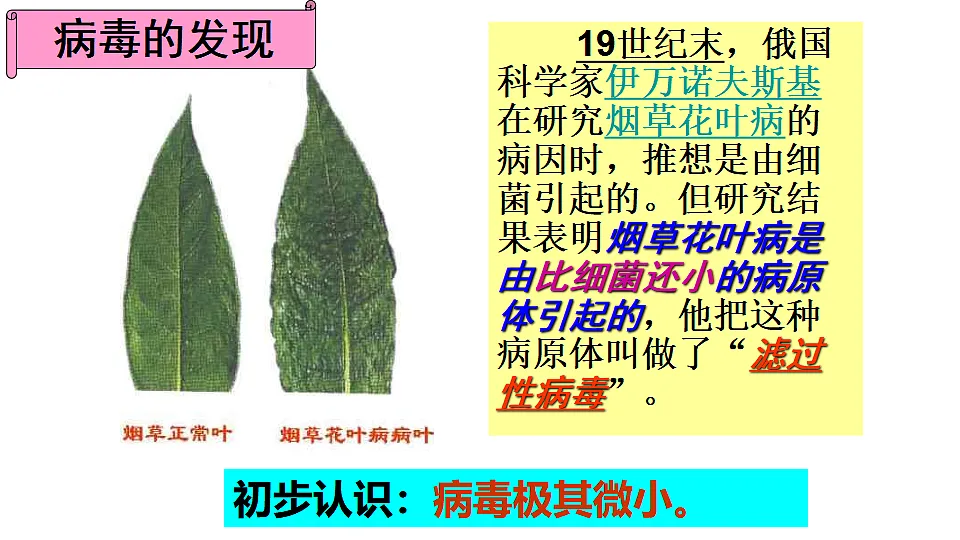 17571298第2页