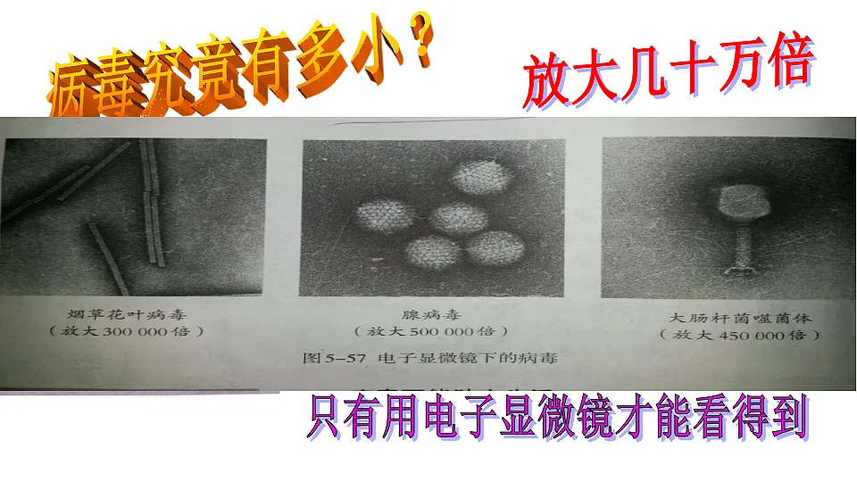 17571298第3页