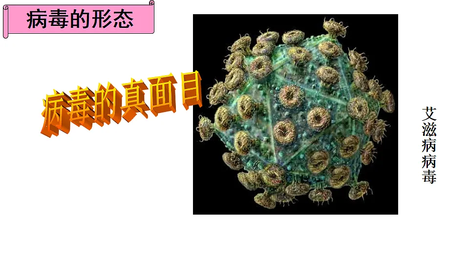 17571298第5页