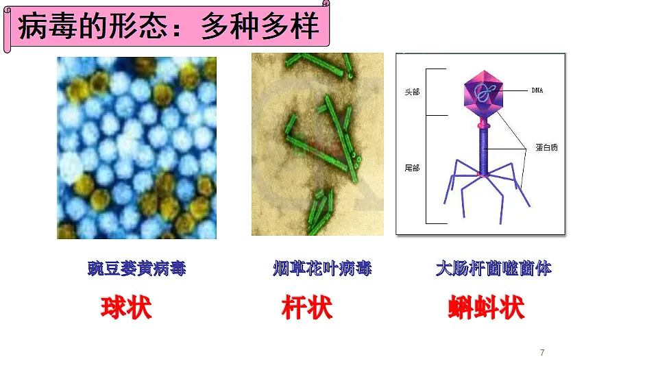 17571298第7页