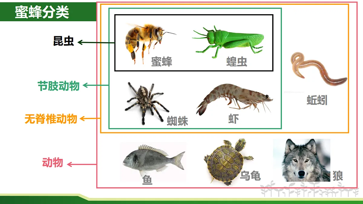 17571301第2页