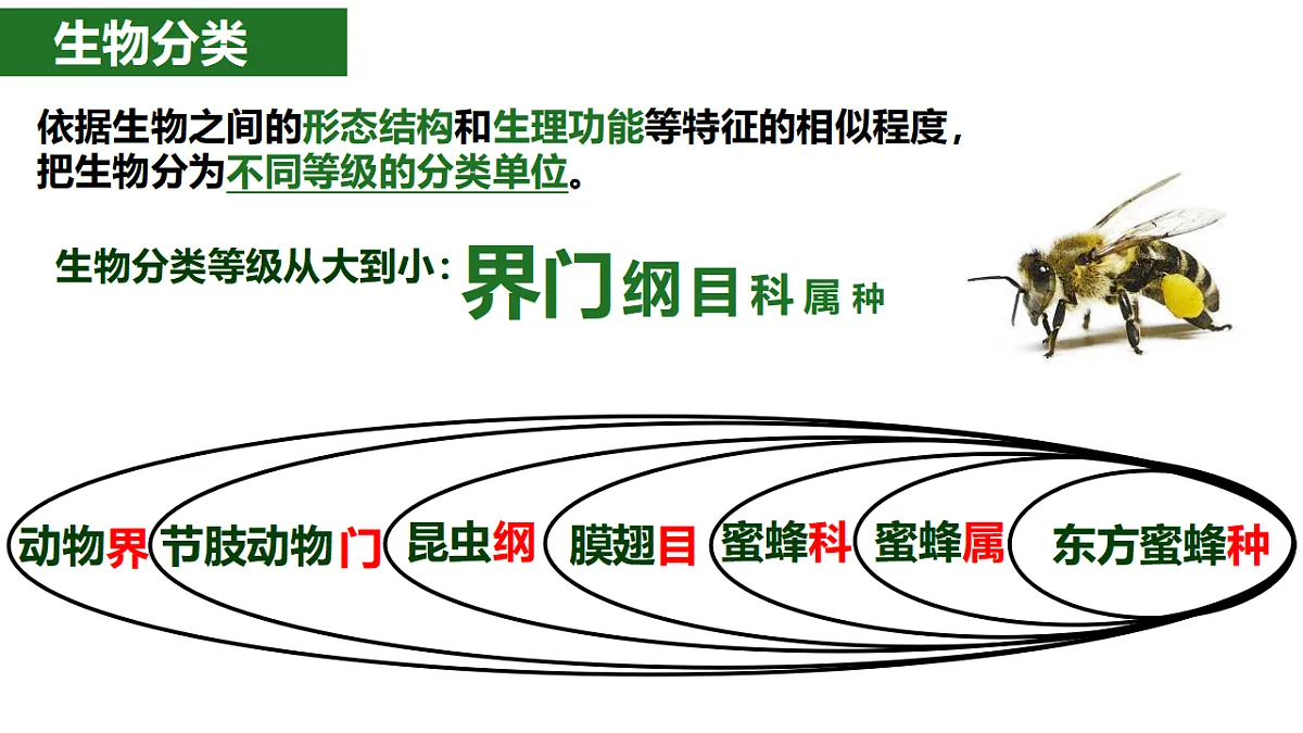 17571301第3页