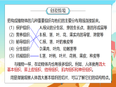 浙教版科学七下（2024）1.1《生物体的结构层次》（第3课时）课件+教案+练习+视频