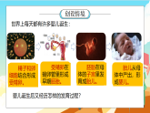 浙教版科学七下（2024）1.2《人和动物的生殖与发育》（第2课时）课件+教案+练习+视频