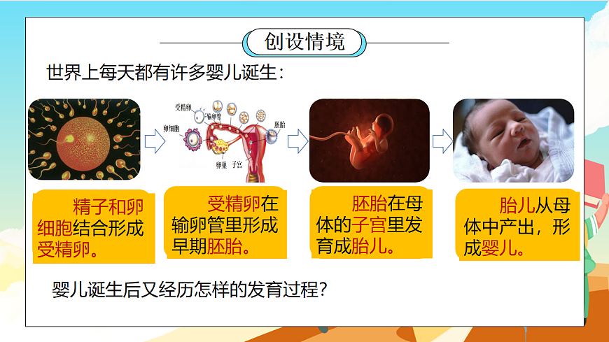浙教版科学七下（2024）1.2《人和动物的生殖与发育》（第2课时）课件第2页