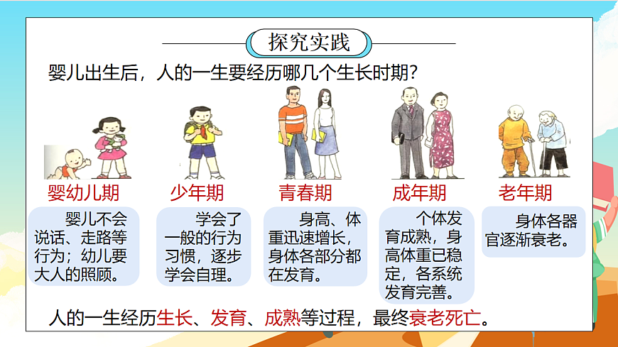 浙教版科学七下（2024）1.2《人和动物的生殖与发育》（第2课时）课件第3页