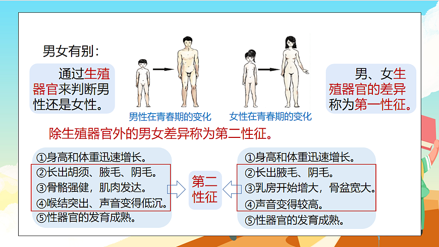 浙教版科学七下（2024）1.2《人和动物的生殖与发育》（第2课时）课件第8页