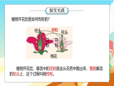 浙教版科学七下（2024）1.3《植物的生殖与发育》（第2课时）课件+教案+练习+视频