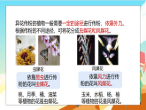 浙教版科学七下（2024）1.3《植物的生殖与发育》（第2课时）课件+教案+练习+视频