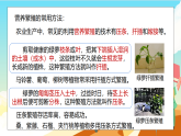 浙教版科学七下（2024）1.3《植物的生殖与发育》（第5课时）课件+教案+练习+视频