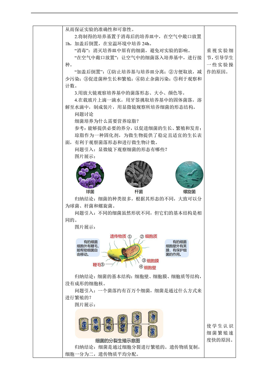 浙教版科学七下（2024）1.4《 微生物的结构与生殖》（第1课时）  教学设计第2页