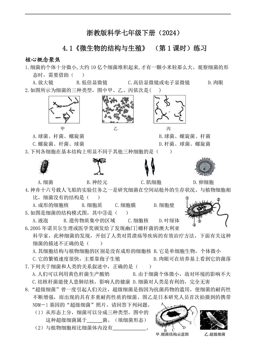 浙教版科学七下（2024）1.4《 微生物的结构与生殖》（第1课时） 练习第1页
